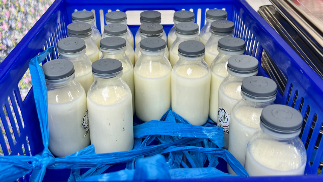 Penjelasan BGN Bireuen Soal Manfaat Susu Sebagai Pelengkap Gizi Anak
