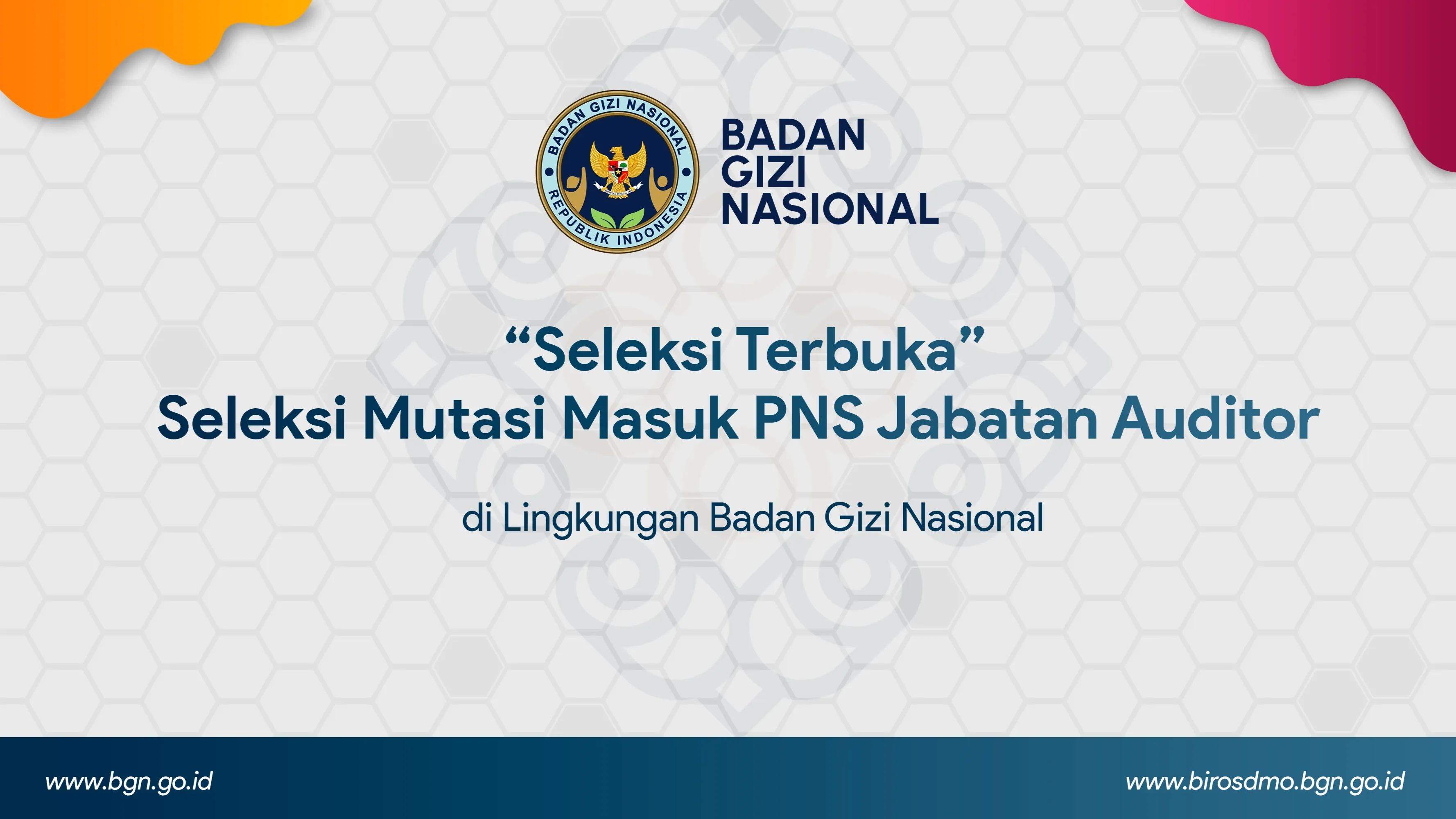 Seleksi Terbuka - Seleksi Mutasi Masuk PNS Jabatan Auditor di Lingkungan Badan Gizi Nasional Bireuen